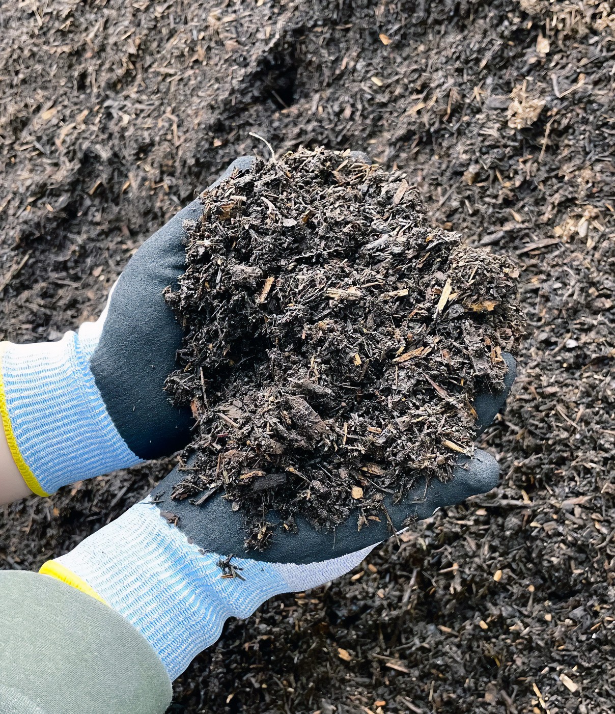 Finos compostados de corteza seca para la enmienda del suelo
