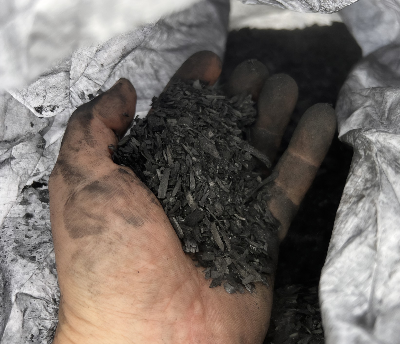 Biocarbón producido a partir de materia prima seca