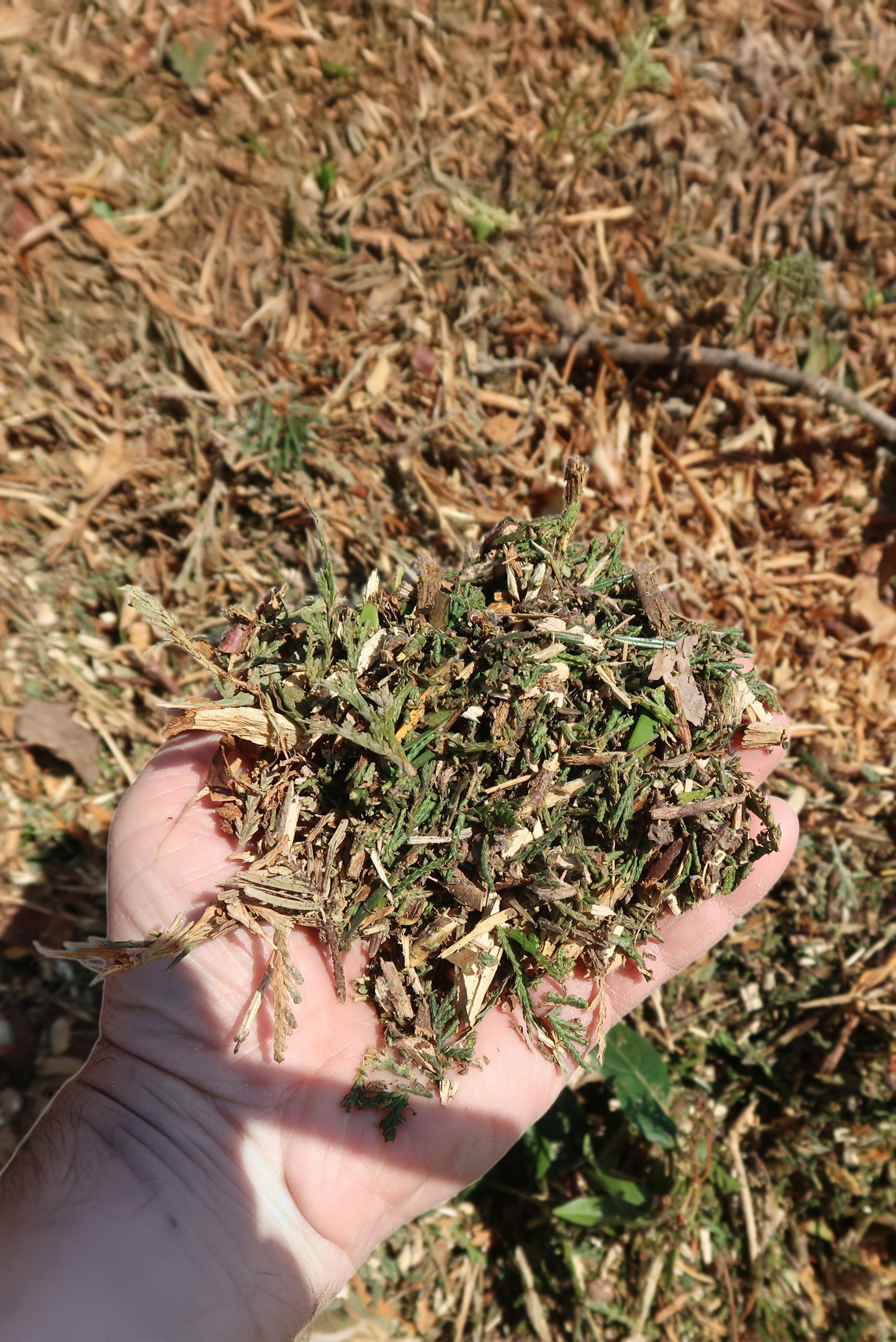 Drying Arb Chip with FlowDrya