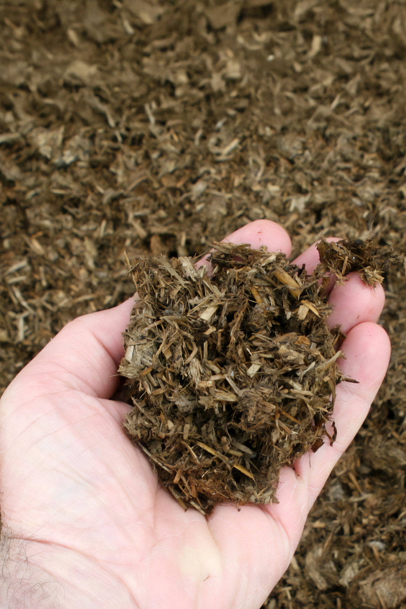 Drying Digestate Fibre with FlowDrya