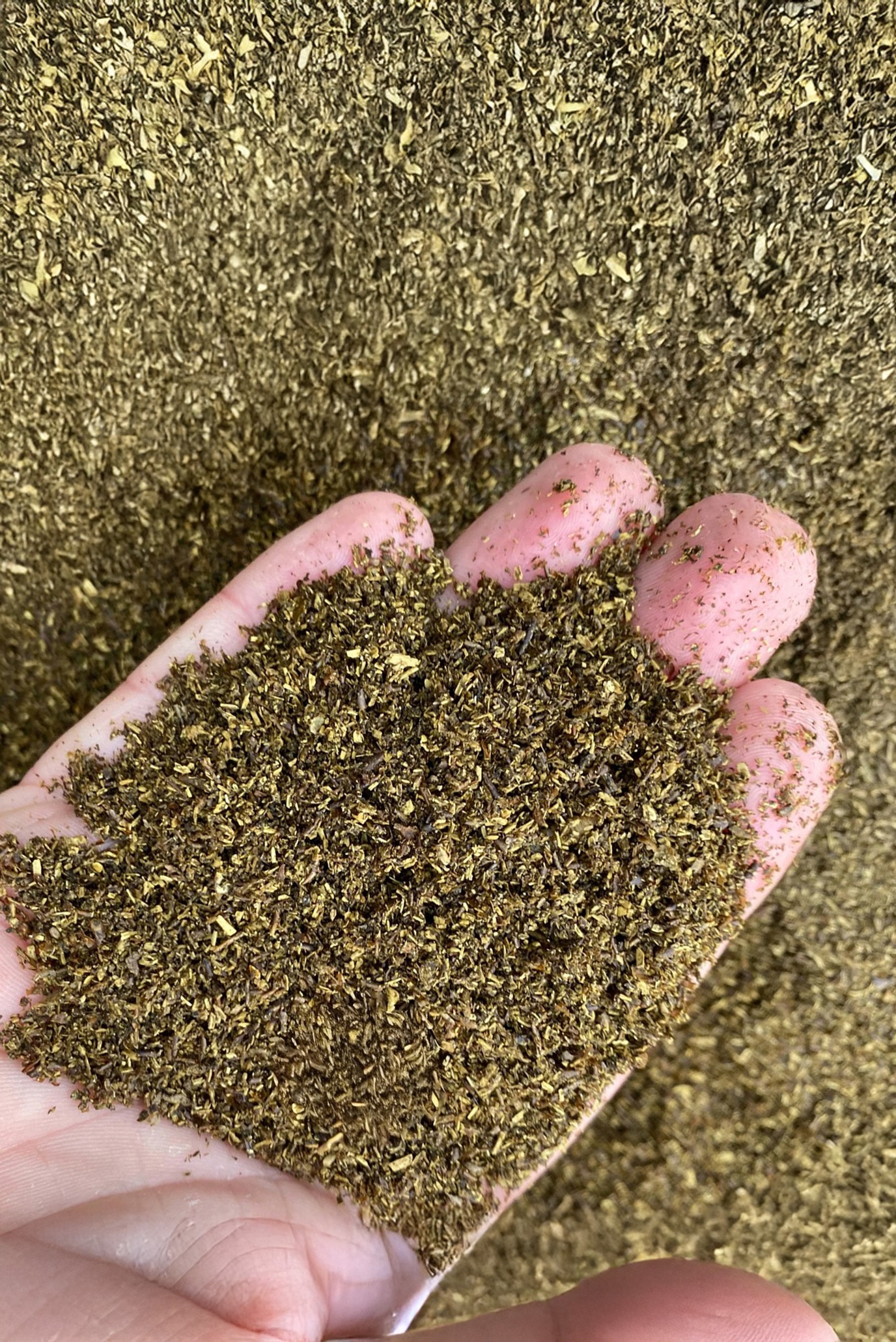 Drying Insect Frass with FlowDrya