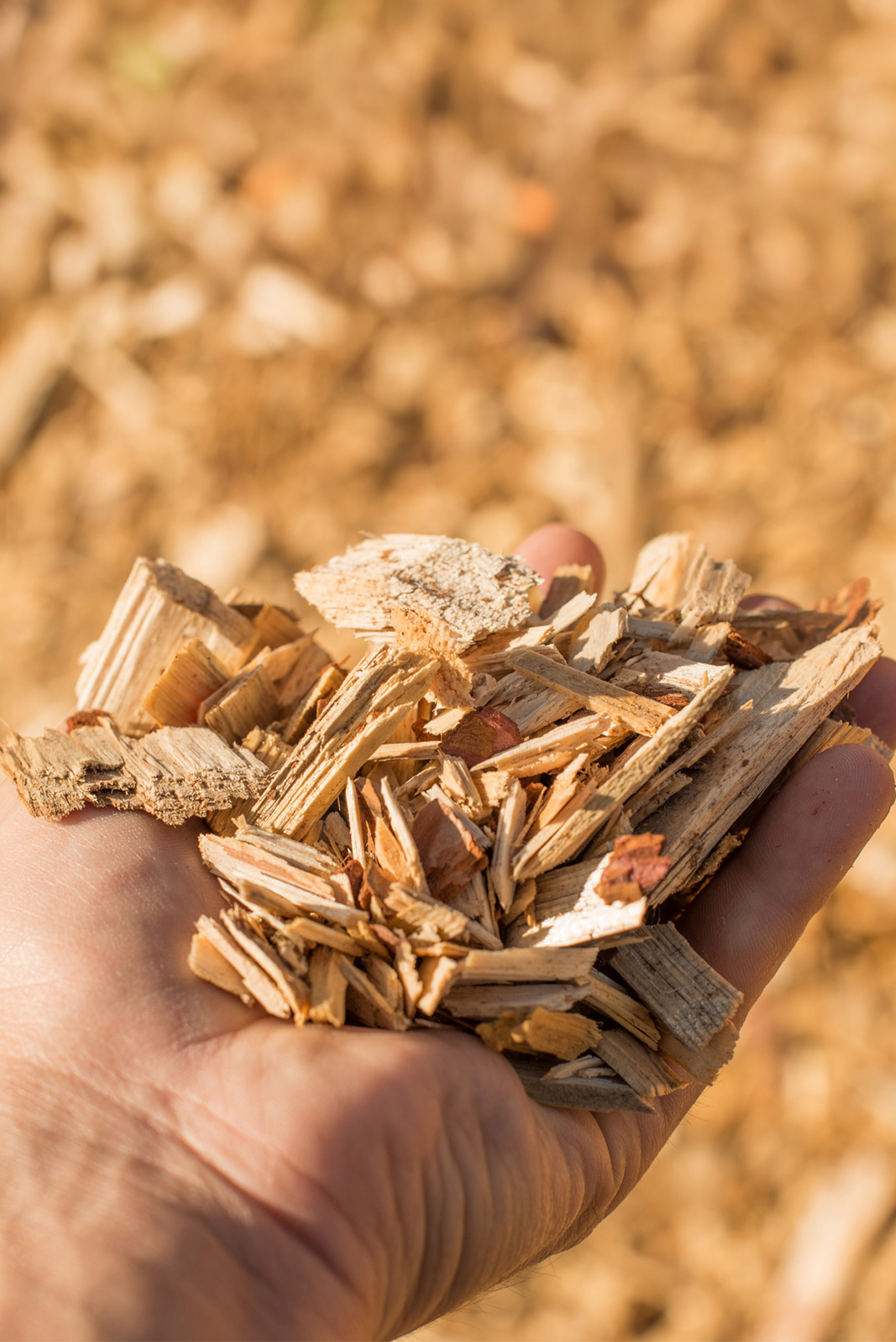 Drying Wood Chip with FlowDrya