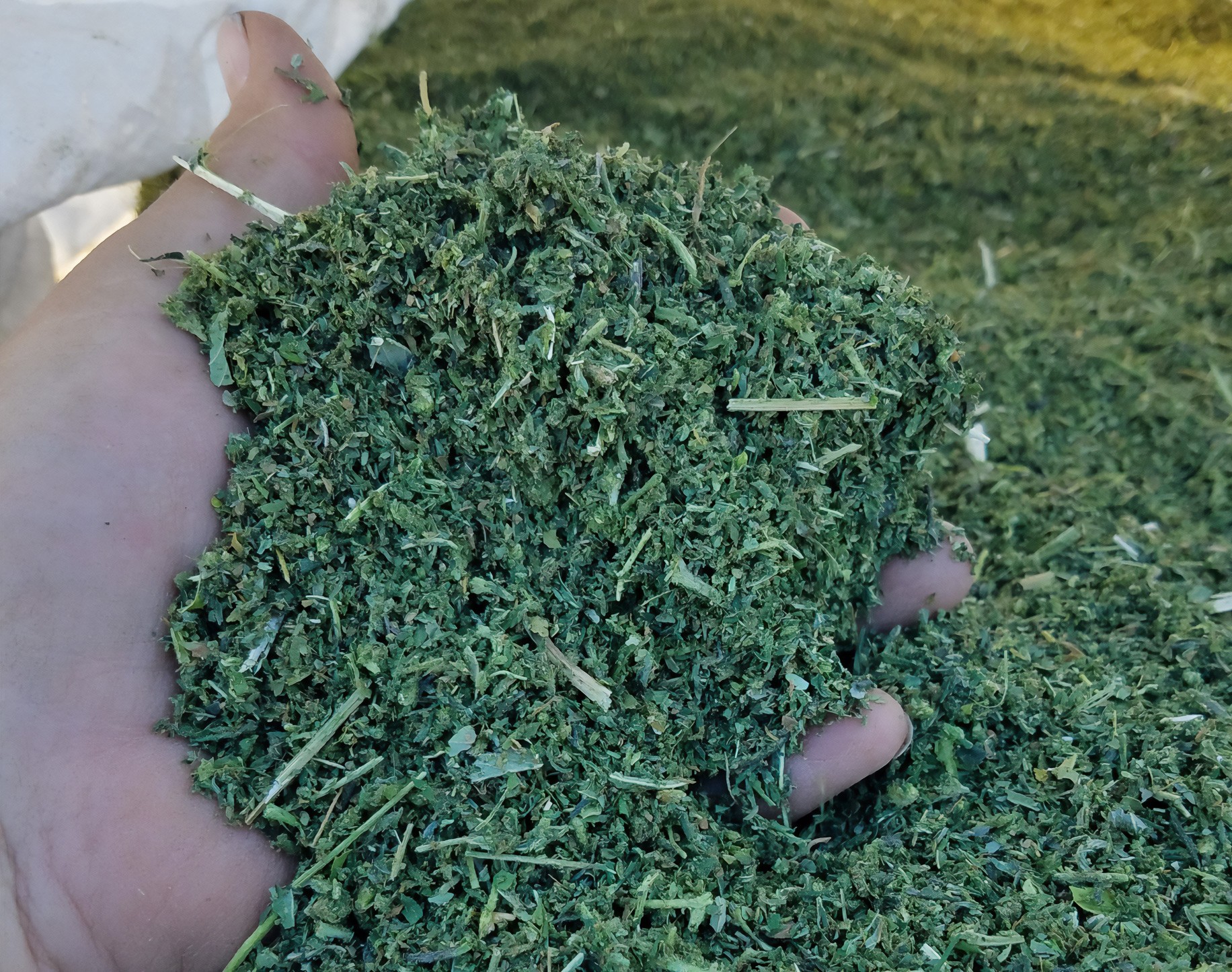 Hemp drying system FlowDrya industrial dryer