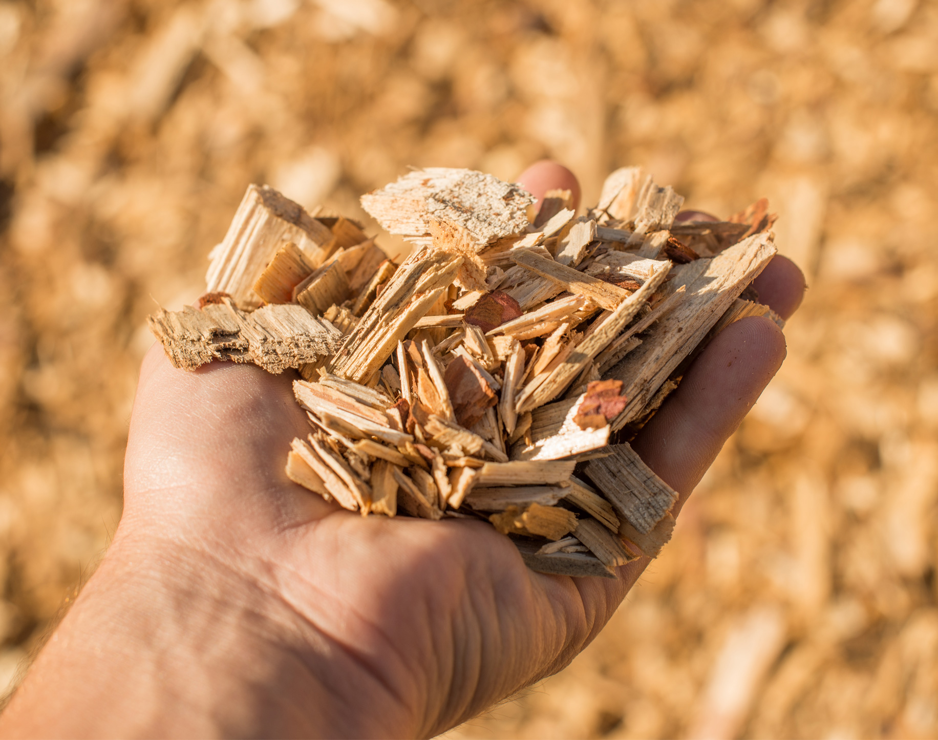 Wood chip drying with FlowDrya industrial dryer